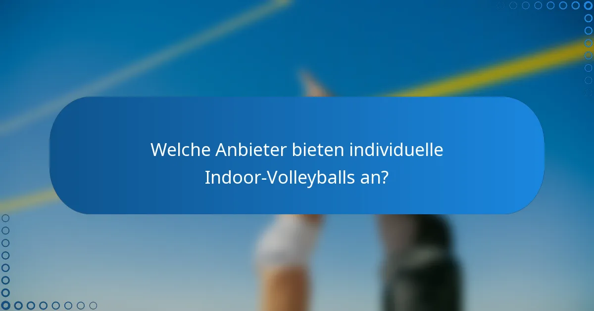 Welche Anbieter bieten individuelle Indoor-Volleyballs an?