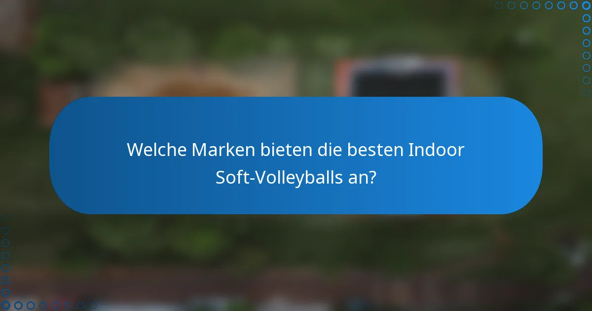 Welche Marken bieten die besten Indoor Soft-Volleyballs an?