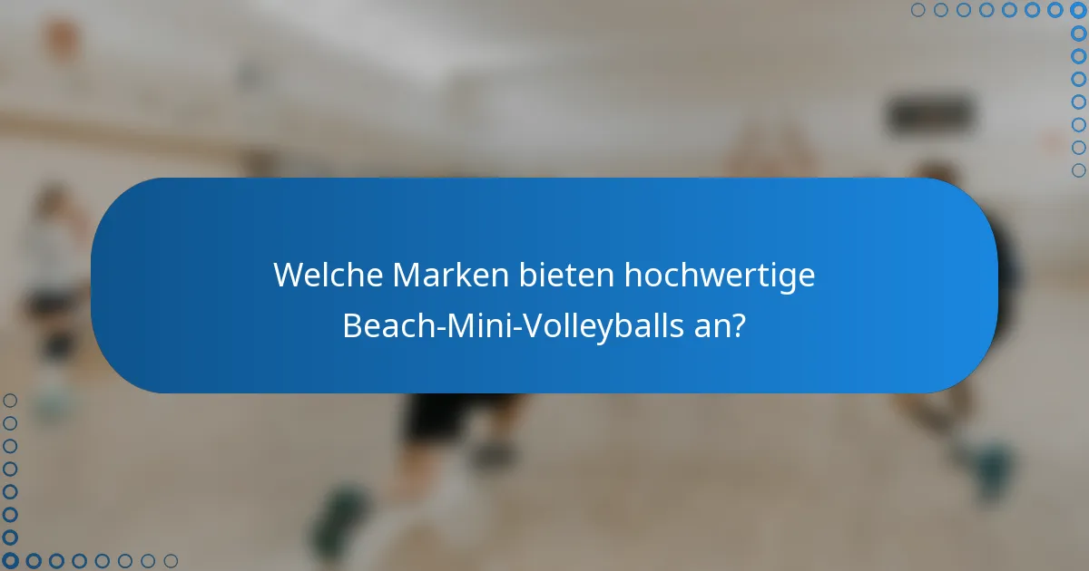 Welche Marken bieten hochwertige Beach-Mini-Volleyballs an?