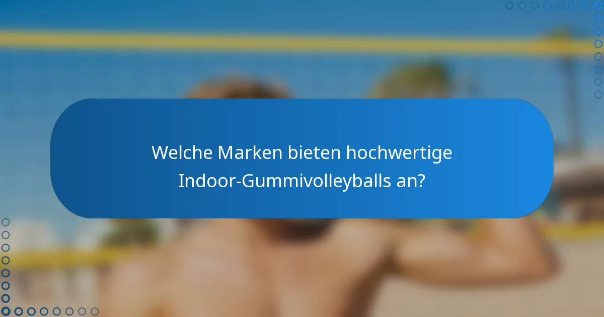 Welche Marken bieten hochwertige Indoor-Gummivolleyballs an?