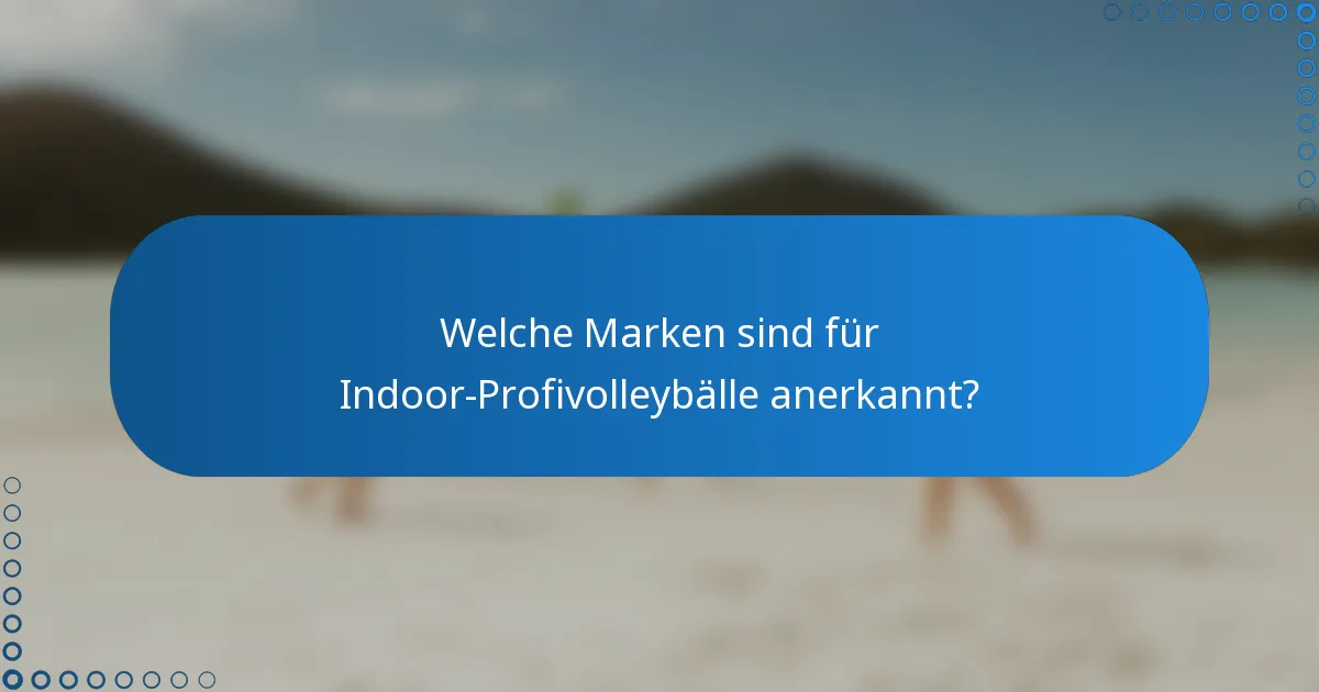 Welche Marken sind für Indoor-Profivolleybälle anerkannt?